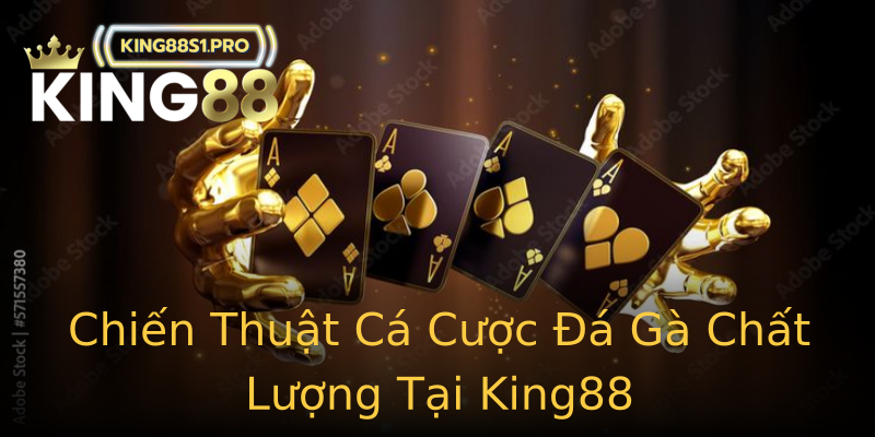 Chiến Thuật Cá Cược Đá Gà Chất Lượng Tại King88