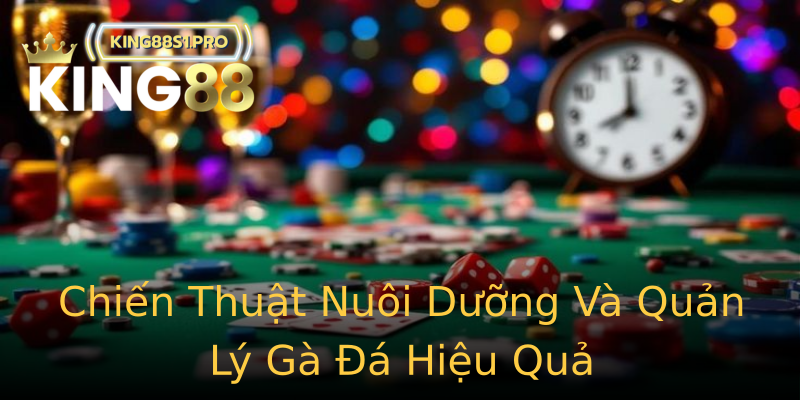 Chiến Thuật Nuôi Dưỡng Và Quản Lý Gà Đá Hiệu Quả Chiến Thuật Nuôi Dưỡng Và Quản Lý Gà Đá Hiệu Quả