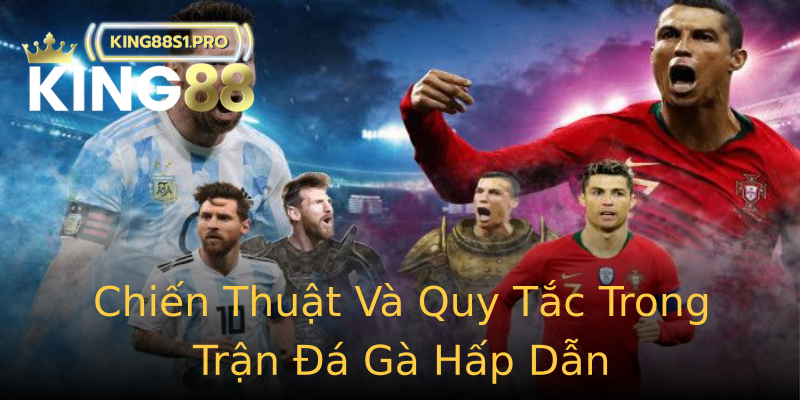 Chiến Thuật Và Quy Tắc Trong Trận Đá Gà Hấp Dẫn Chiến Thuật Và Quy Tắc Trong Trận Đá Gà Hấp Dẫn