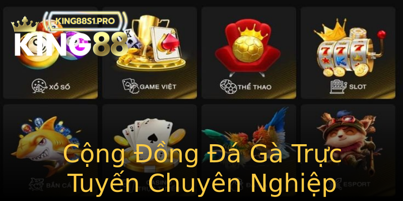 Cộng Đồng Đá Gà Trực Tuyến Chuyên Nghiệp