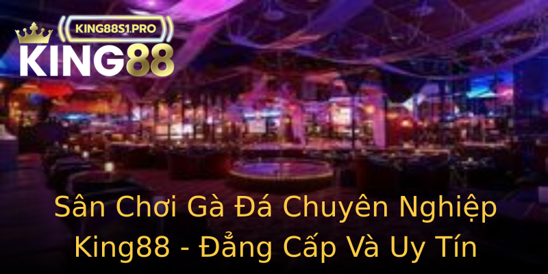 Sân Chơi Gà Đá Chuyên Nghiệp King88 - Đẳng Cấp Và Uy Tín