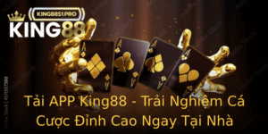 Tai App King88 Trai Nghiem Ca Cuoc Inh Cao Ngay Tai Nha