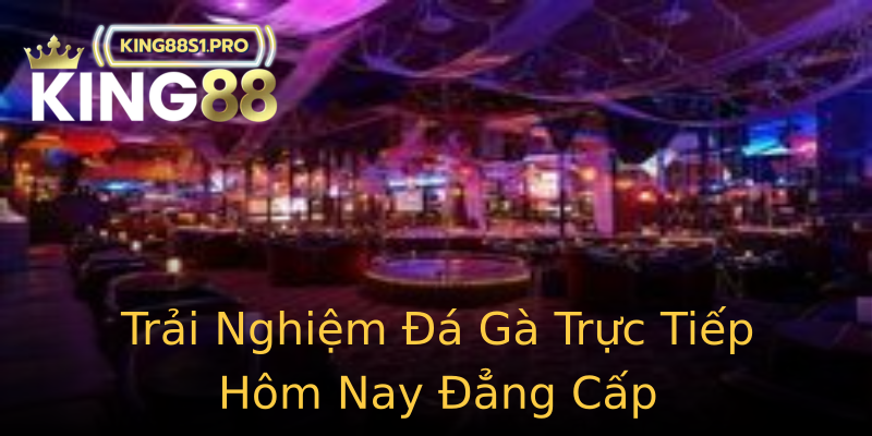 Trải Nghiệm Đá Gà Trực Tiếp Hôm Nay Đẳng Cấp