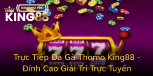 Truc Tiep A Ga Thomo King88 Inh Cao Giai Tri Truc Tuyen
