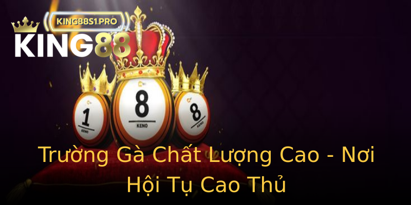 Trường Gà Chất Lượng Cao - Nơi Hội Tụ Cao Thủ Trường Gà Chất Lượng Cao - Nơi Hội Tụ Cao Thủ